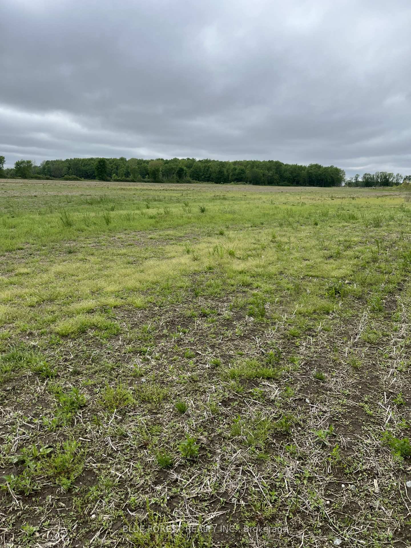 27048 Aberdeen Line ; MLS ID: X12157511