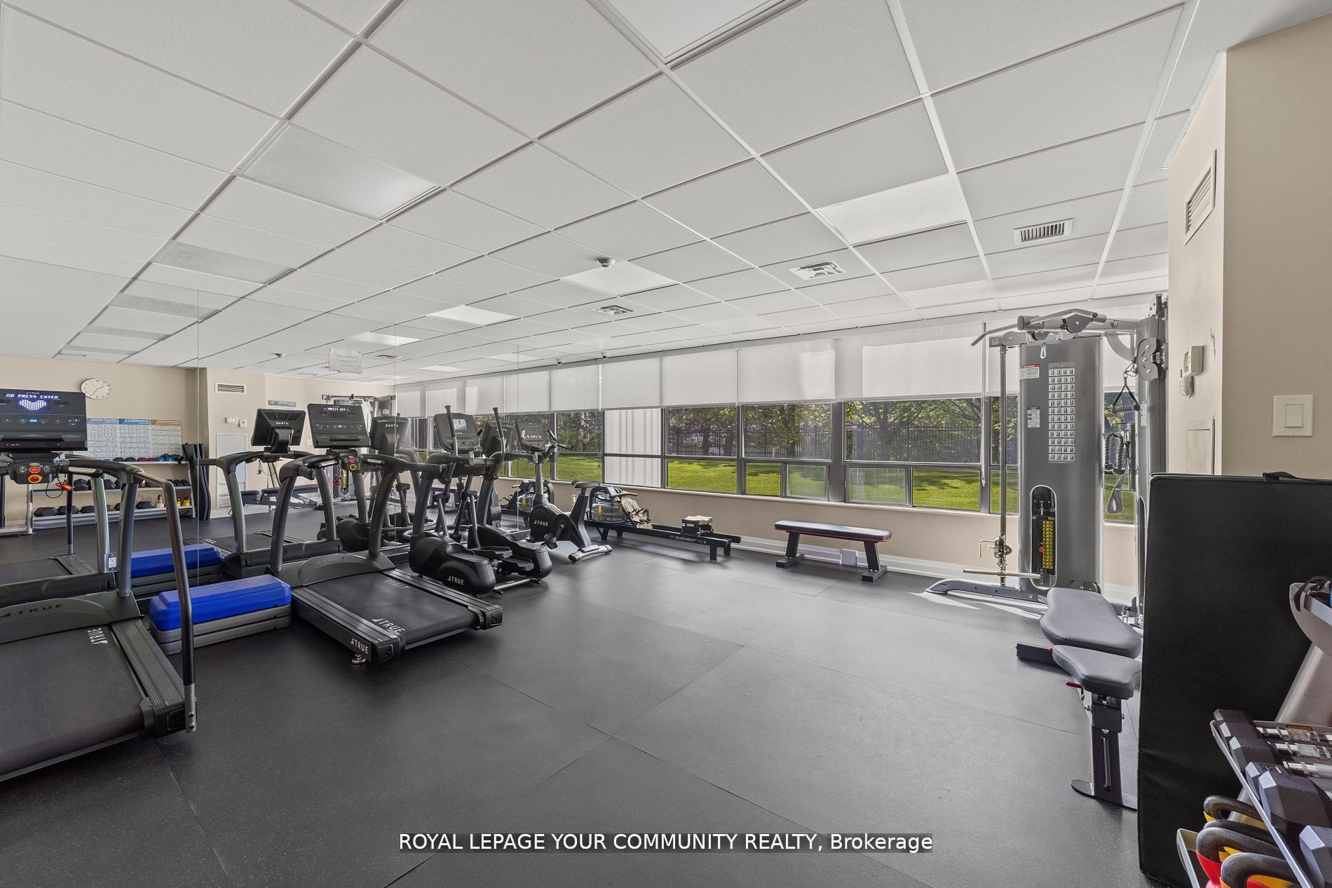7420 Bathurst Street, #503