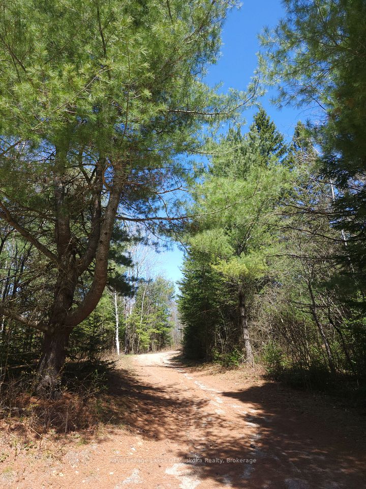 Investment Listing Photo