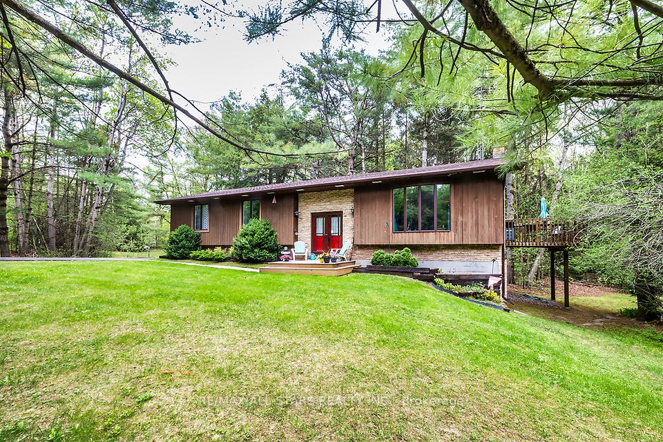 40 The Pines