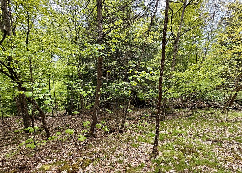 13 Harrison Landing Road, Carling, ON P0G 1G0