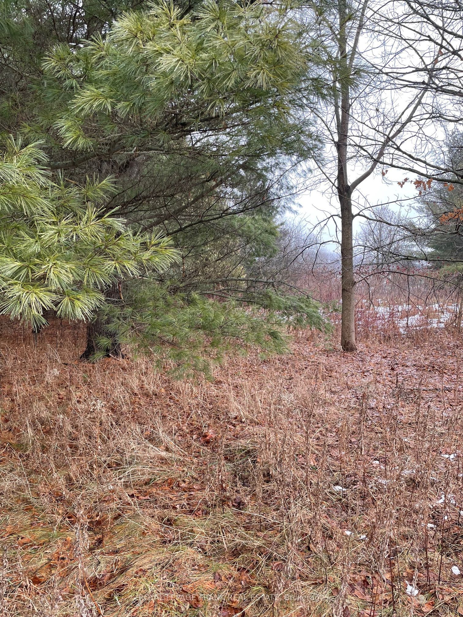 0 Portage Road