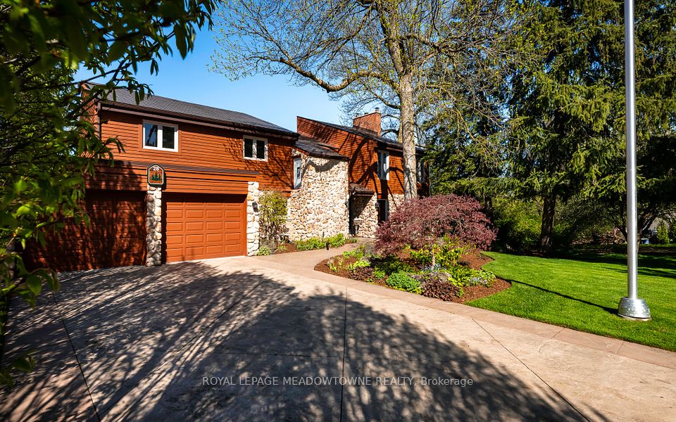 28 Pine Tree