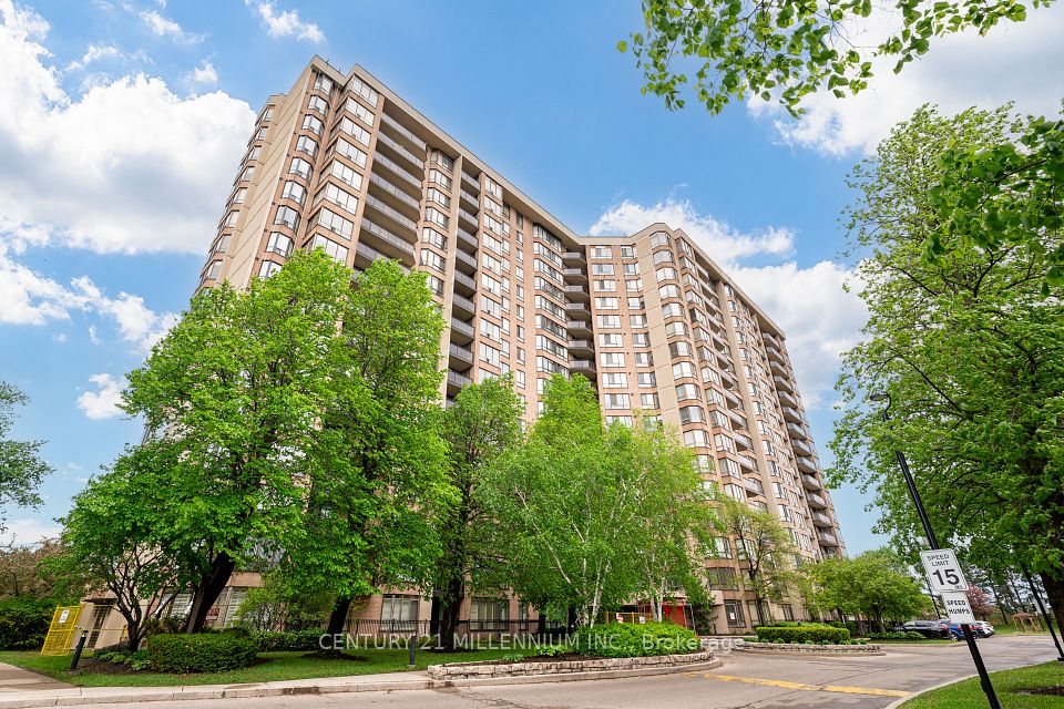 20 Cherrytree