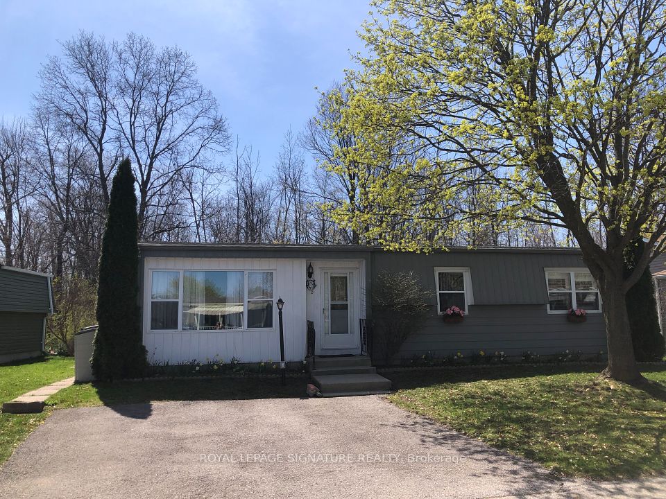 330 Wyldwood