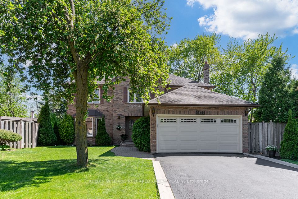 4175 Tall Pine