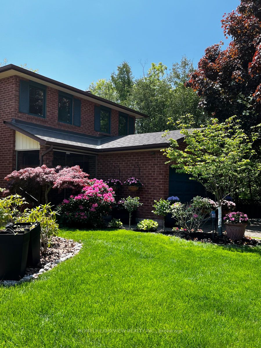 57 Lund Street, Richmond Hill, ON L4C 9V7