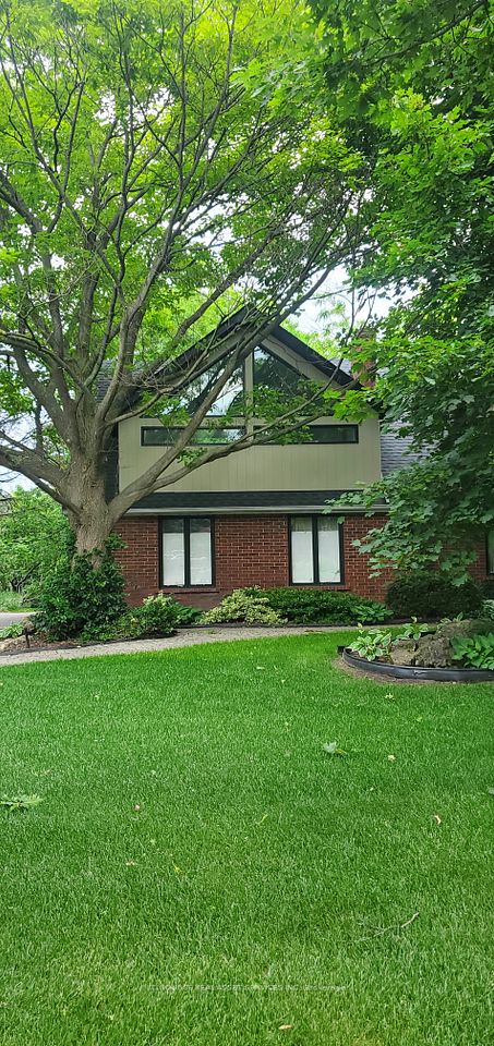 170 Meadowland