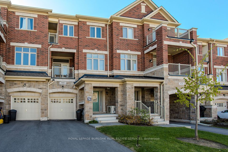 480 Silver Maple