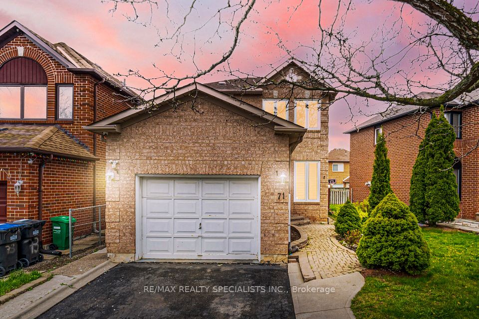71 Cedarwood