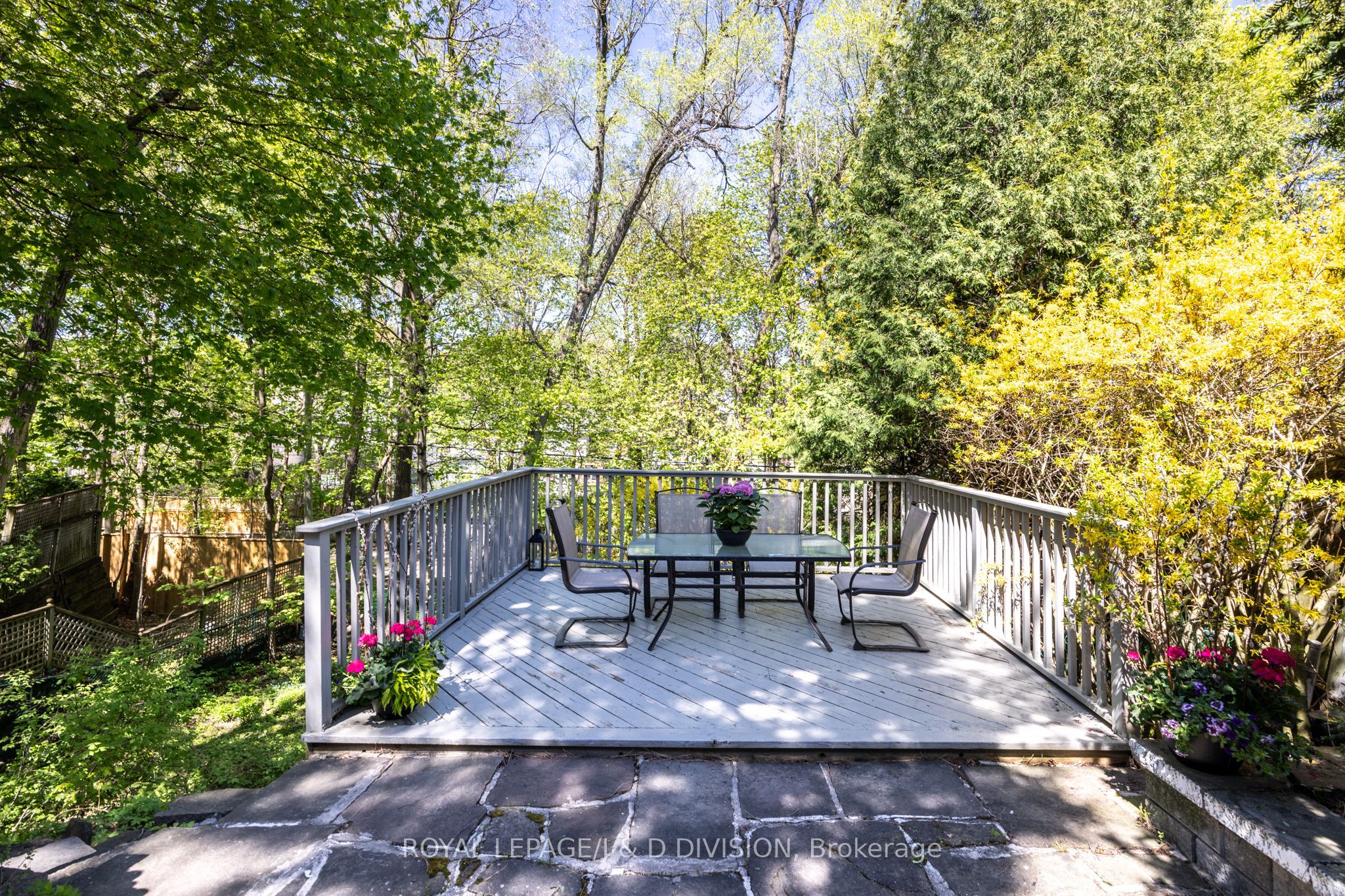 241 Forest Hill Road