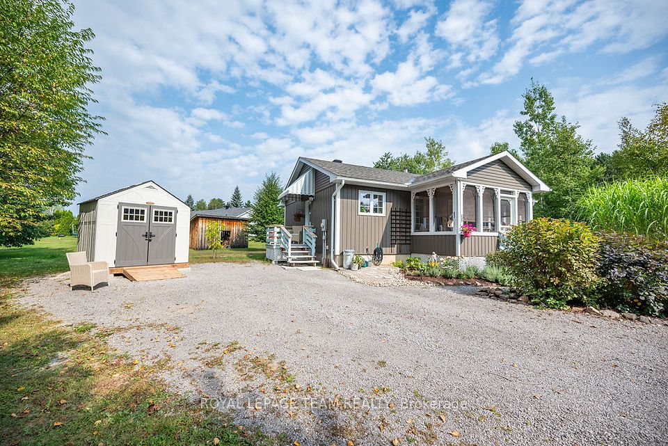 33 JACKPINE
