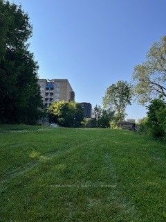 242 Hill