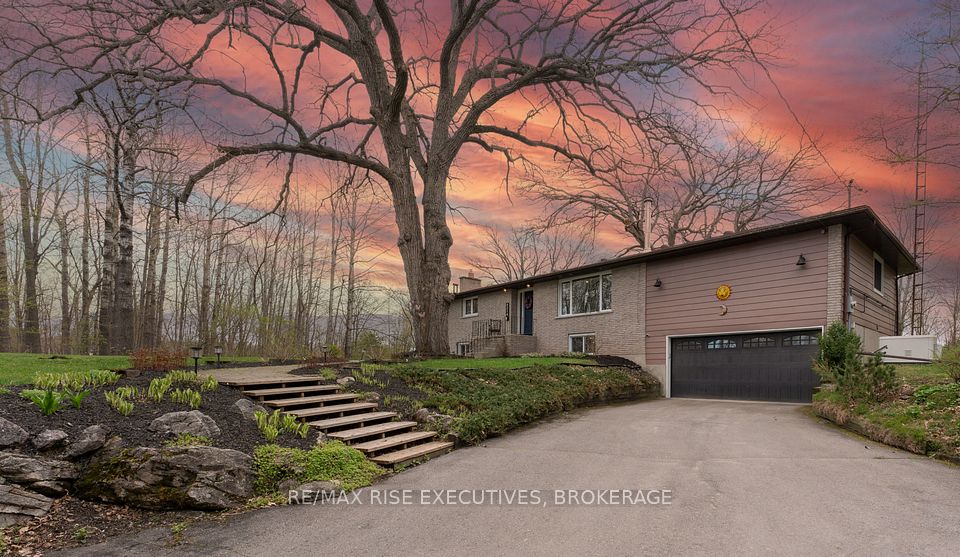 4214 Maple