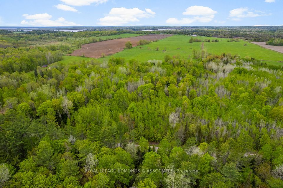 0 Wright Road, Whitewater Region, ON K0J 2L0