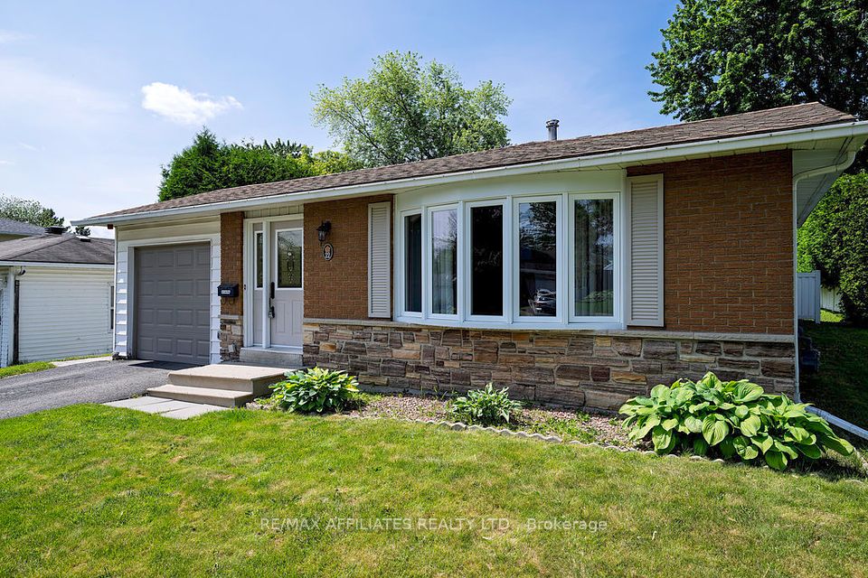 22 Red Maple