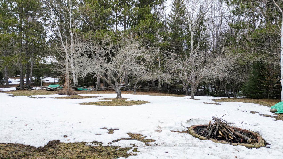 1548 Madawaska Road, Hastings Highlands, ON K0L 2K0
