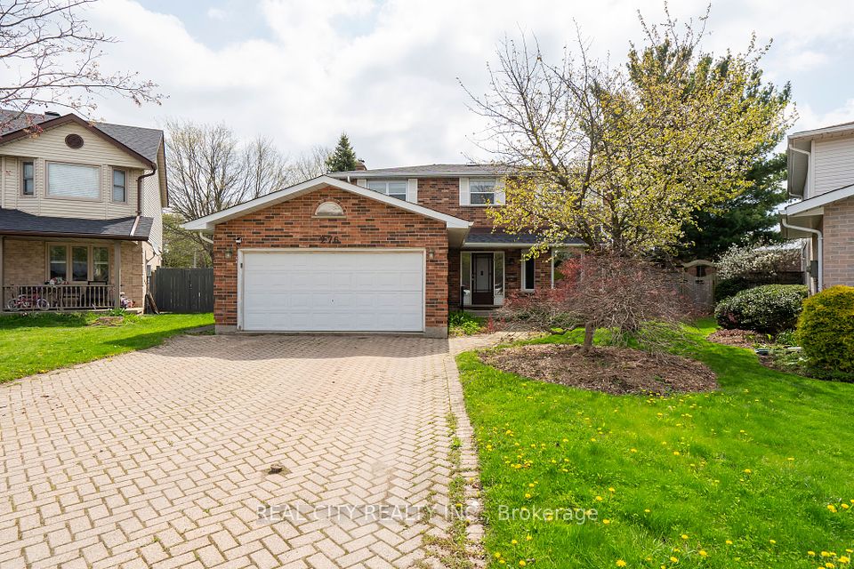 276 Blue Forest