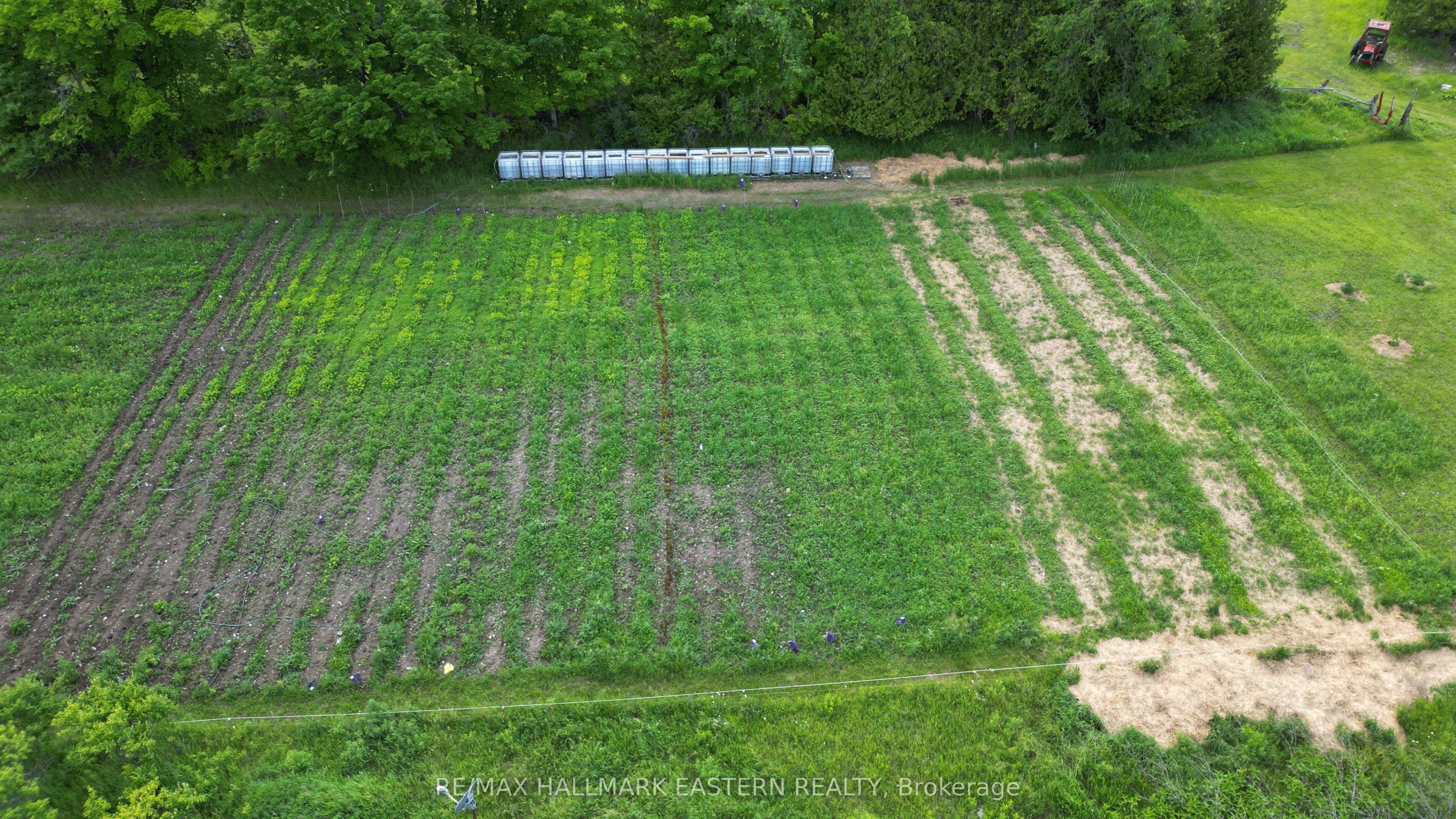 4291 County Road 44