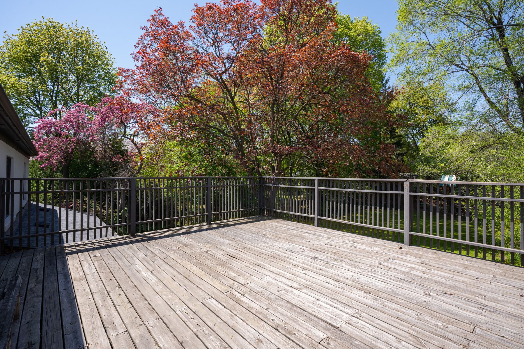 16 Coldstream Avenue