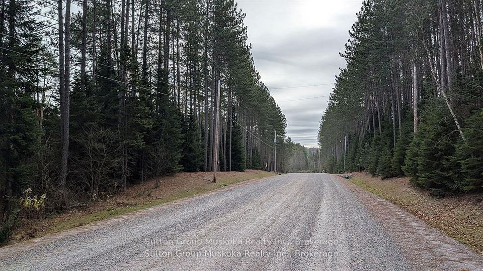 Lot 1 Red Pine