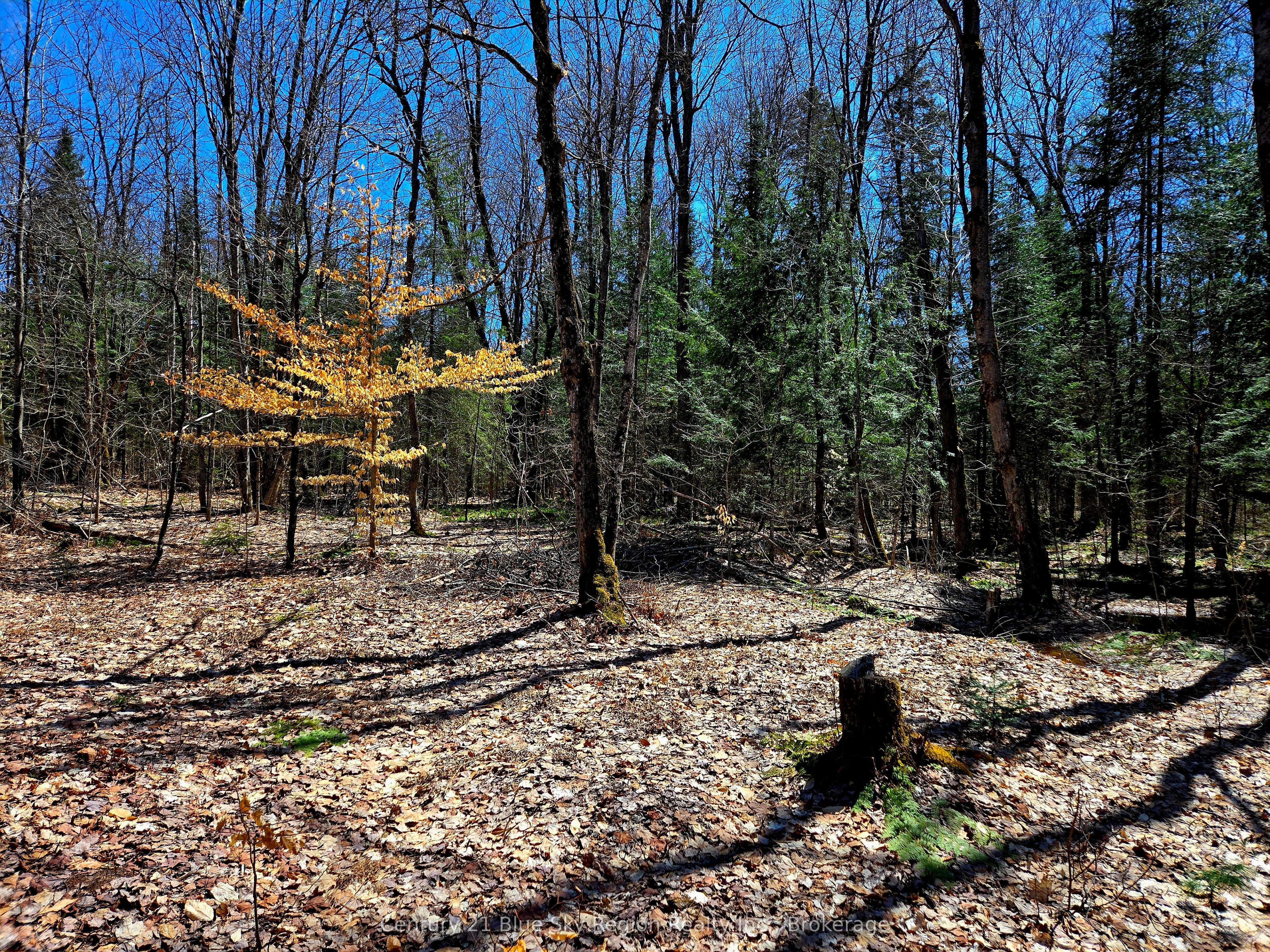 3267 Highway 534, Nipissing, ON P0H 1W0
