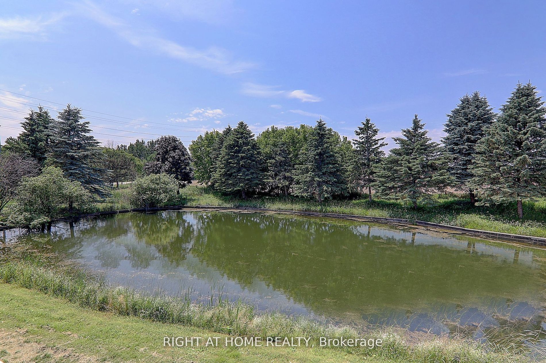1008 Mount Albert Road, East Gwillimbury, ON L0G 1V0