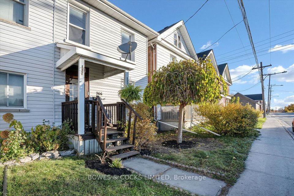 266 Wolfe