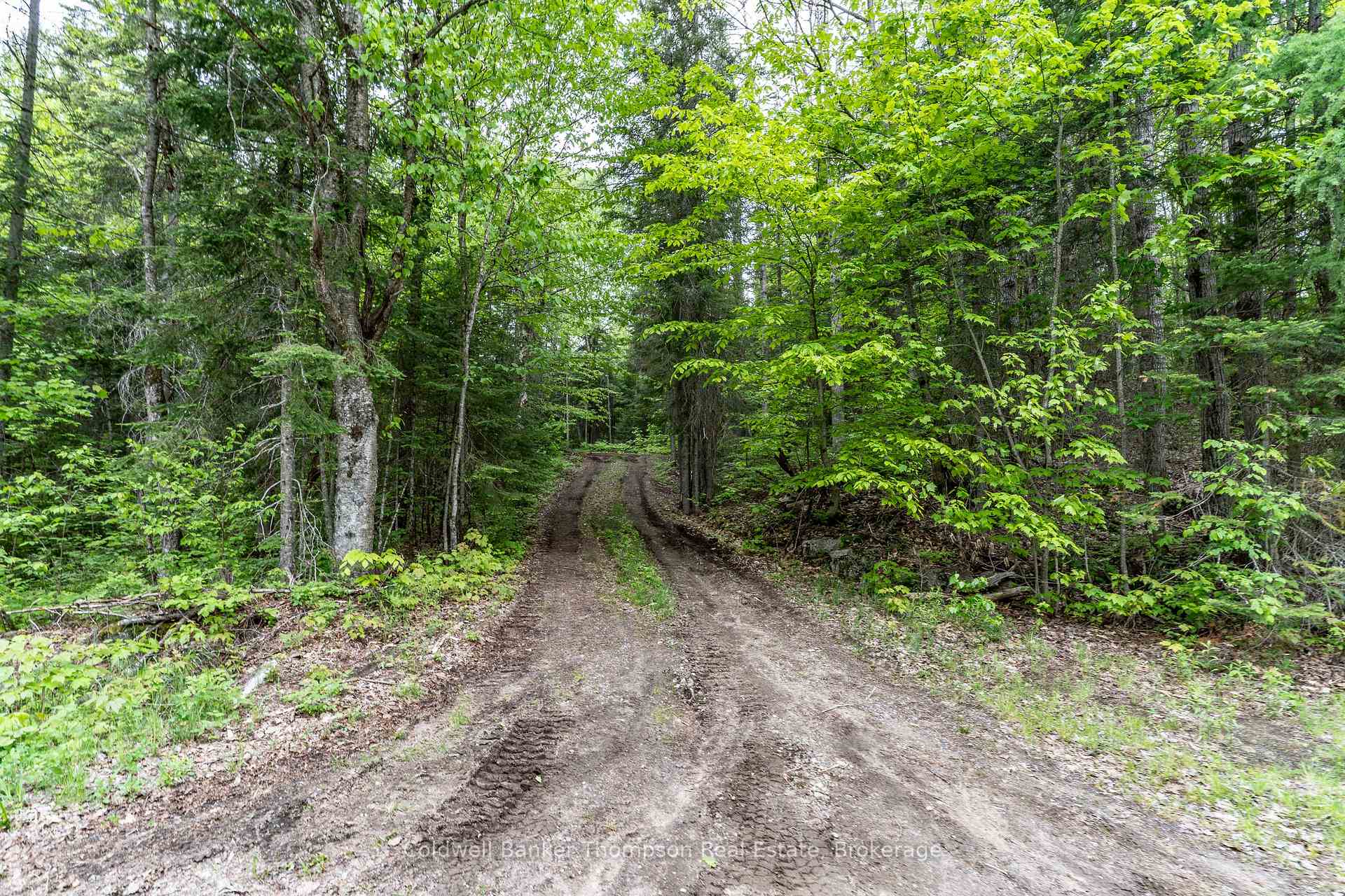 2524 Fern Glen Road, McMurrich/Monteith, ON P0A 1Y0