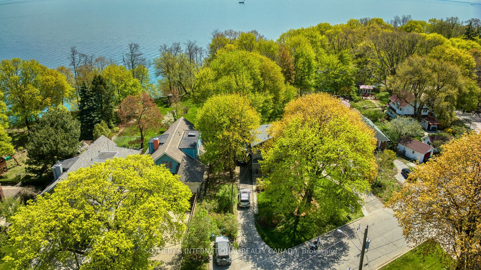 5 Springbank Avenue