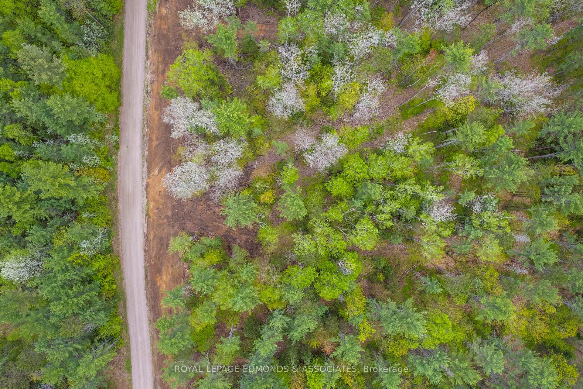 0000 Nangor Trail ; MLS ID: X12167236