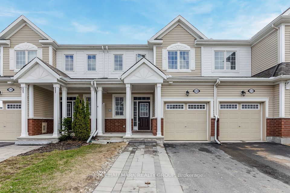 248 Willow Aster