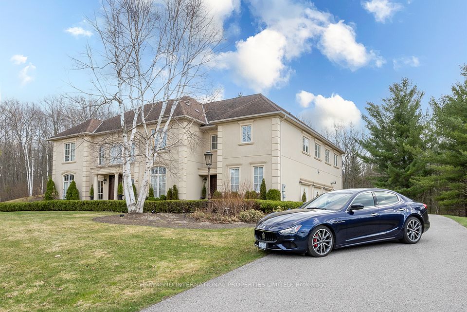 65 Kingswood