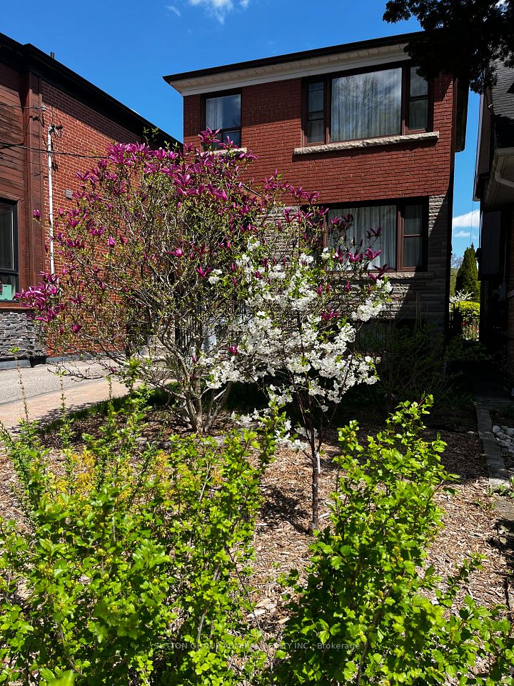 137 Evelyn Avenue
