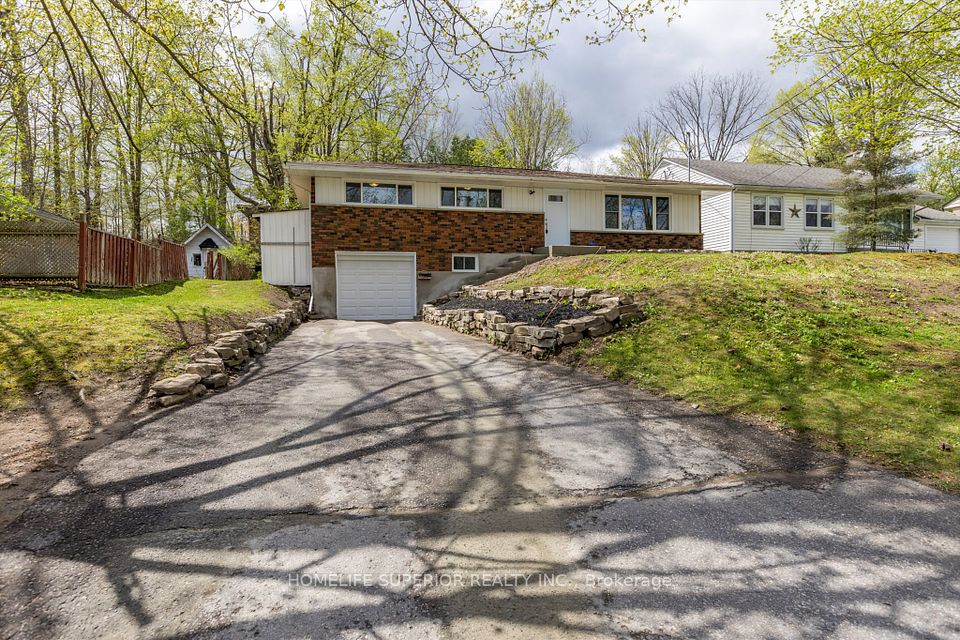 1243 Albertus