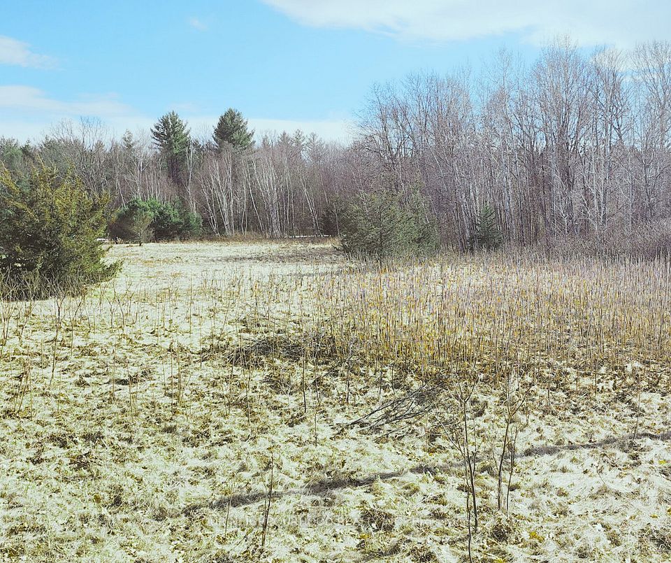 LOT 14 TRENT RIVER