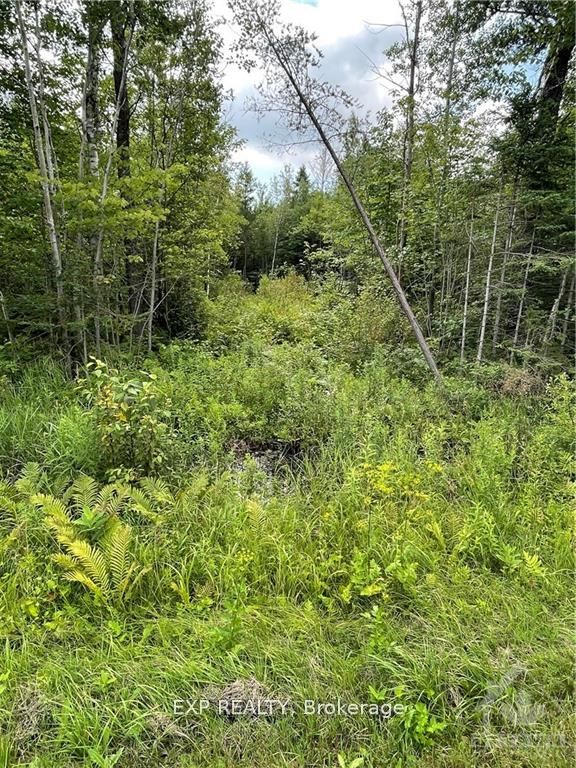 00 A1 CONCESSION ROAD 4