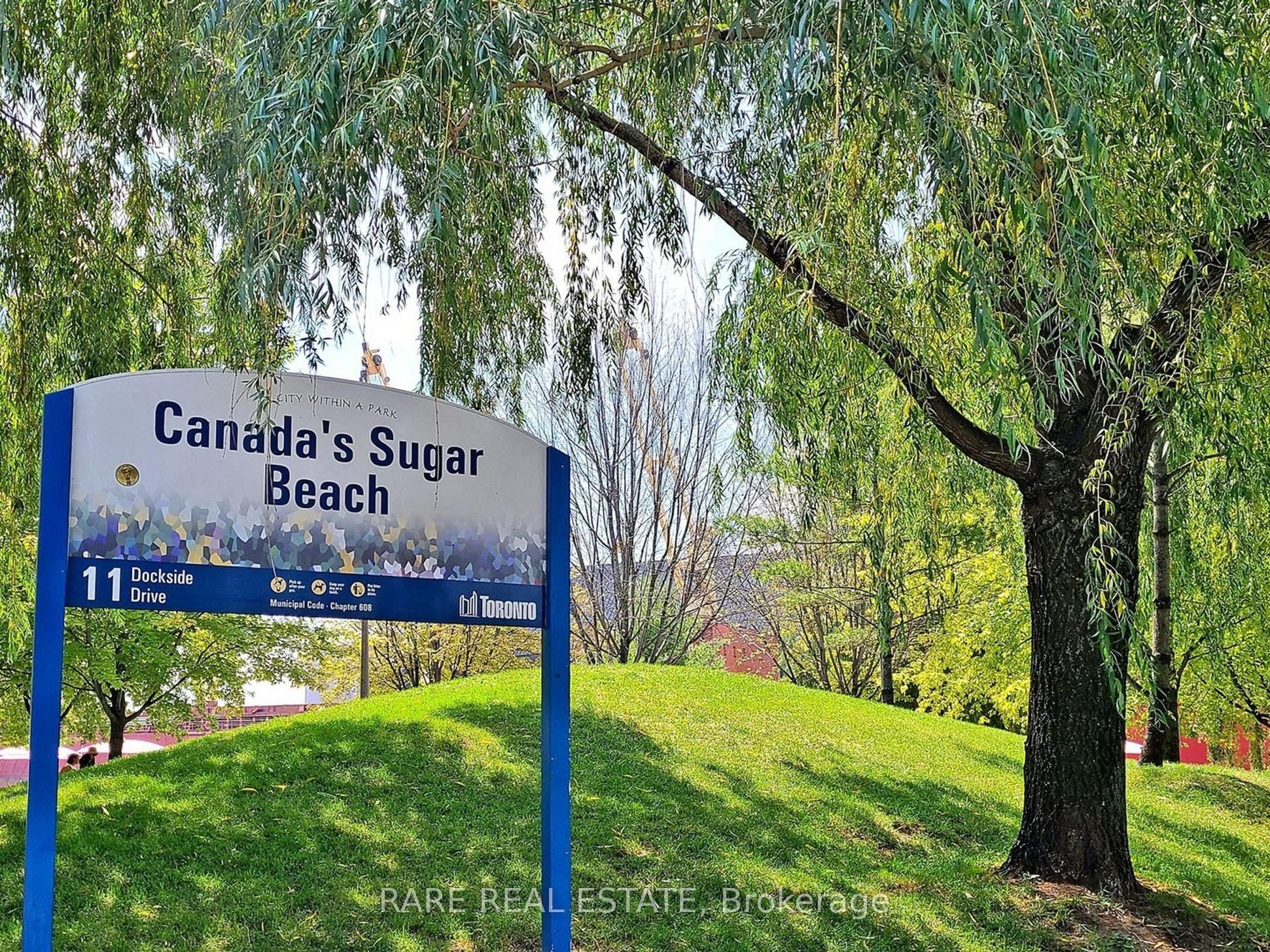 15 Lower Jarvis Street, #3504