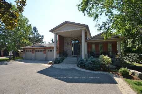 51 Ellis