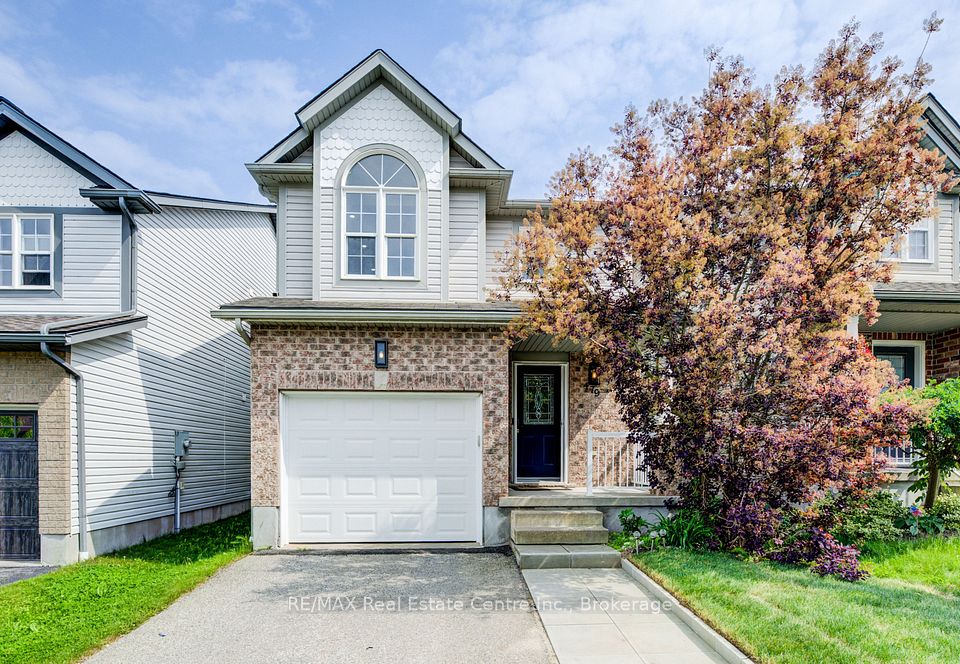 479 Trembling Aspen