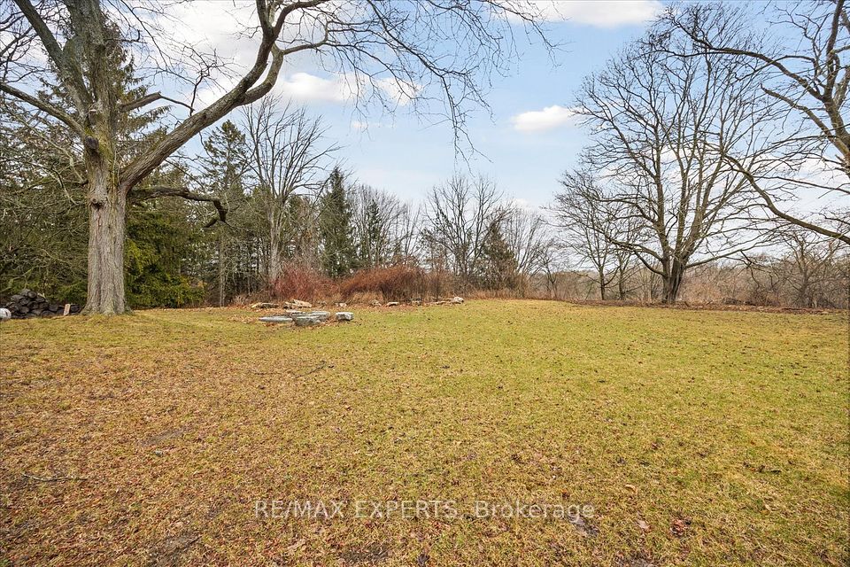 View Over Treed Grounds & Creek Beyond