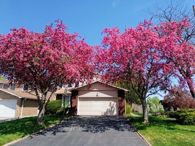 46 Flowervale