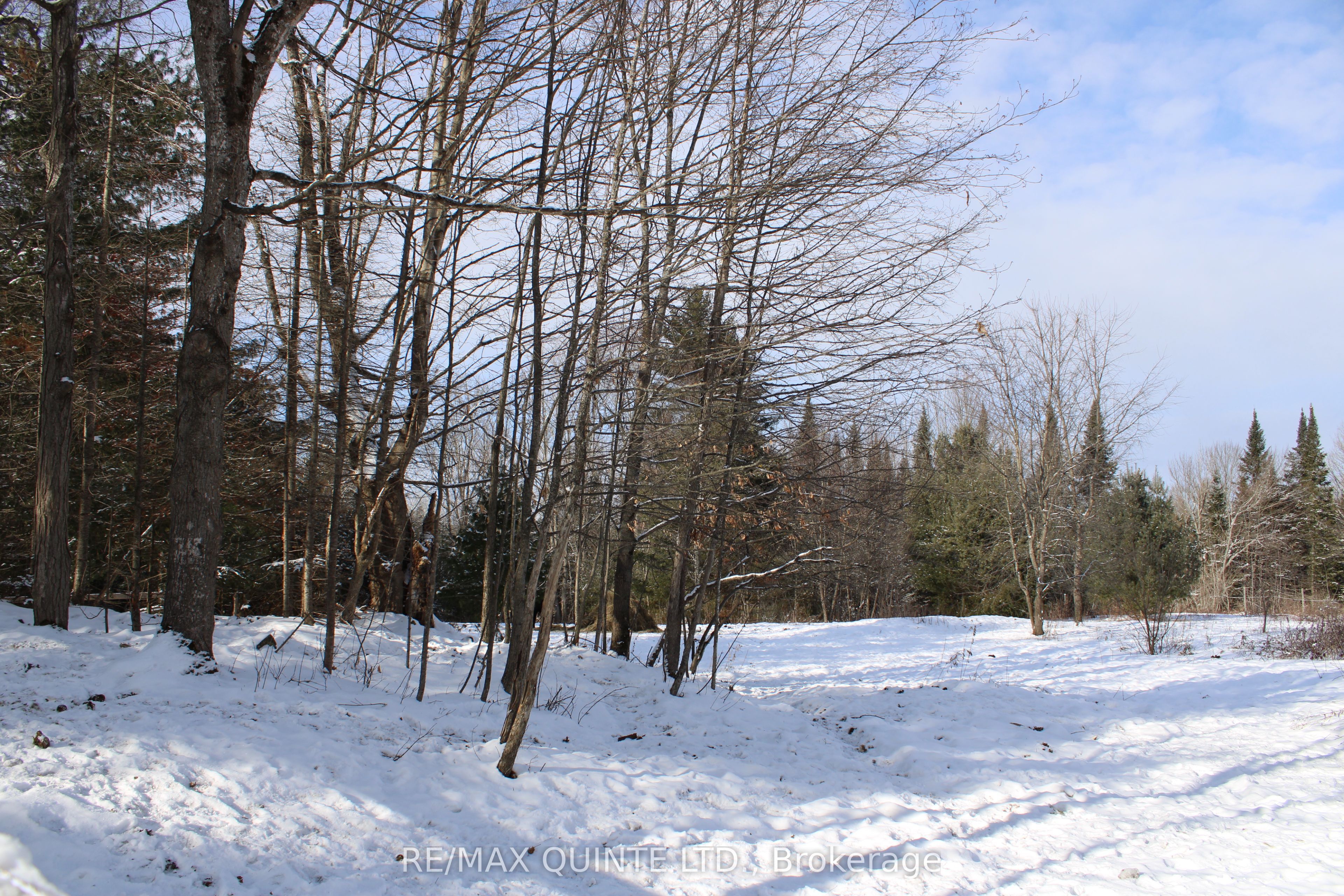 494 Twin Sister Lakes Road, Marmora and Lake, ON K0K 2M0