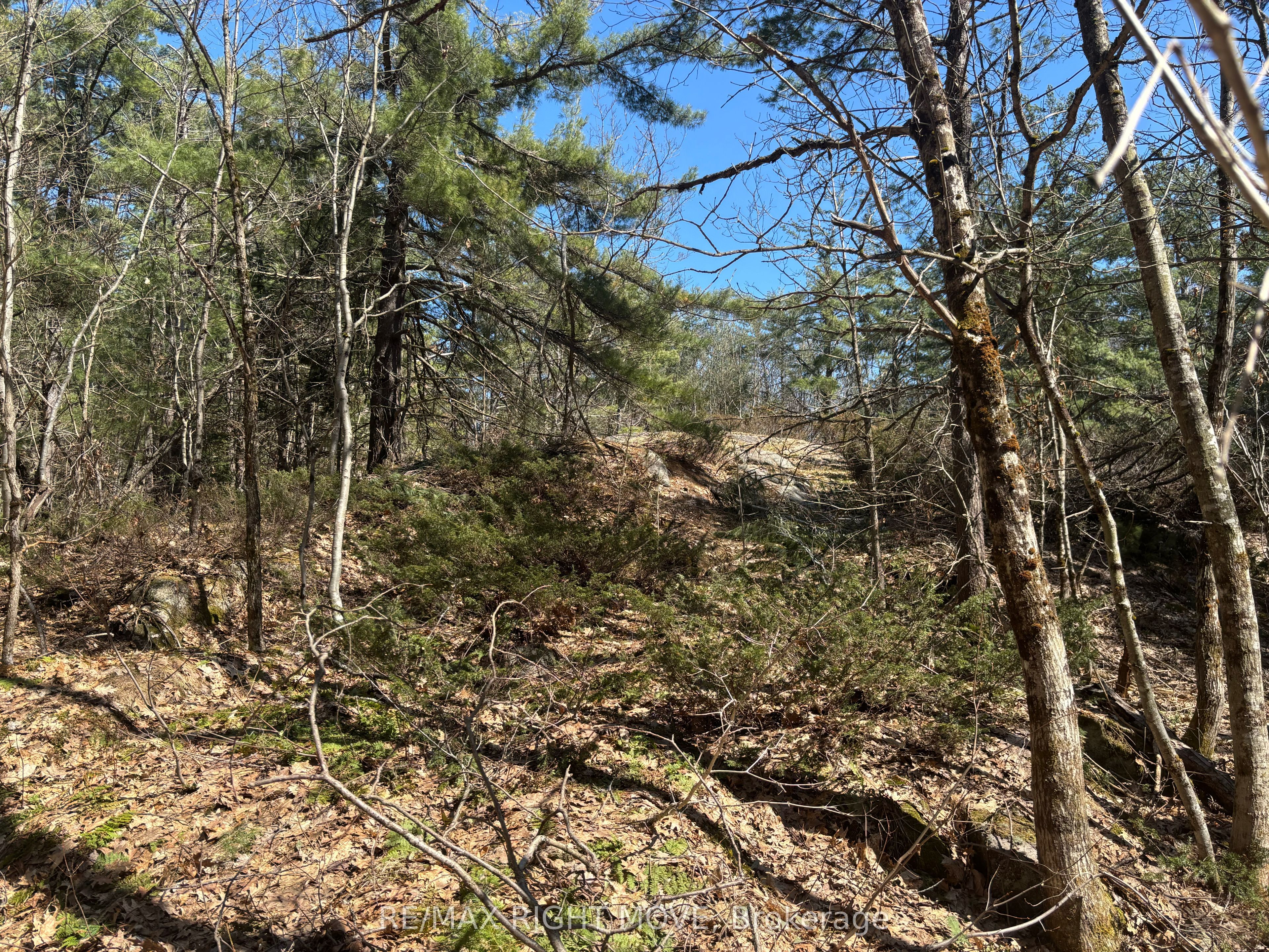 2159 Southwood Road, Gravenhurst, ON P0E 1G0