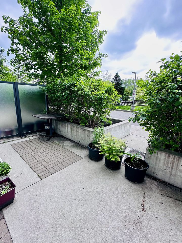 7165 Yonge