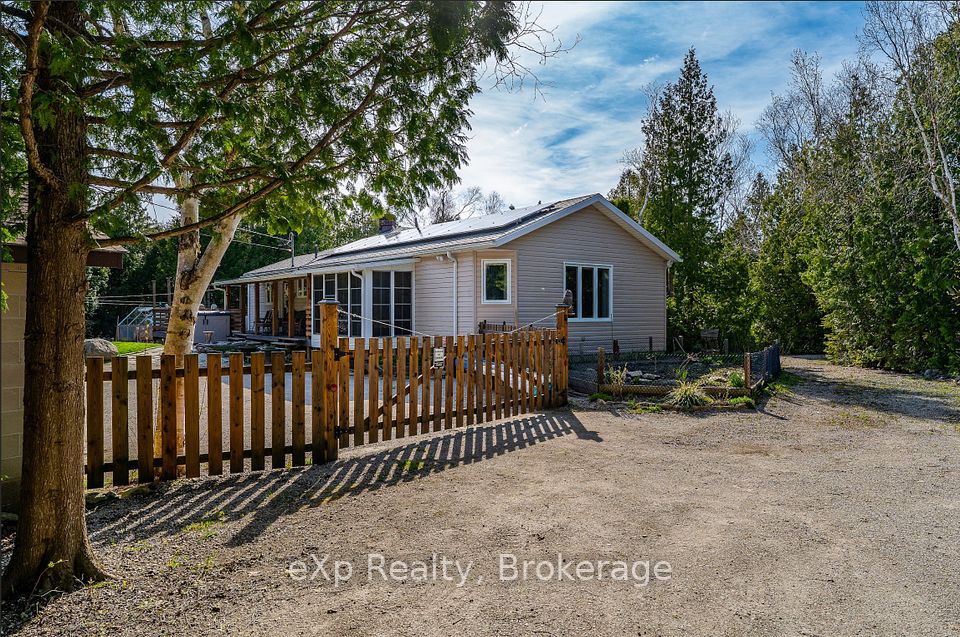 53 Little Pine