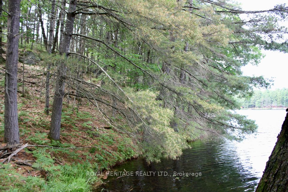 #LOT 1 - N/A-WAO Kasshabog Lake, Havelock-Belmont-Methuen, ON K0L 2H0