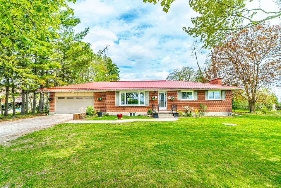 1372 Elm Tree