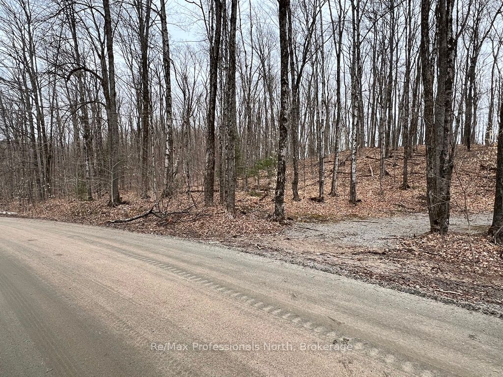 0 Salerno Lake Road, Highlands East, ON K0M 1X0