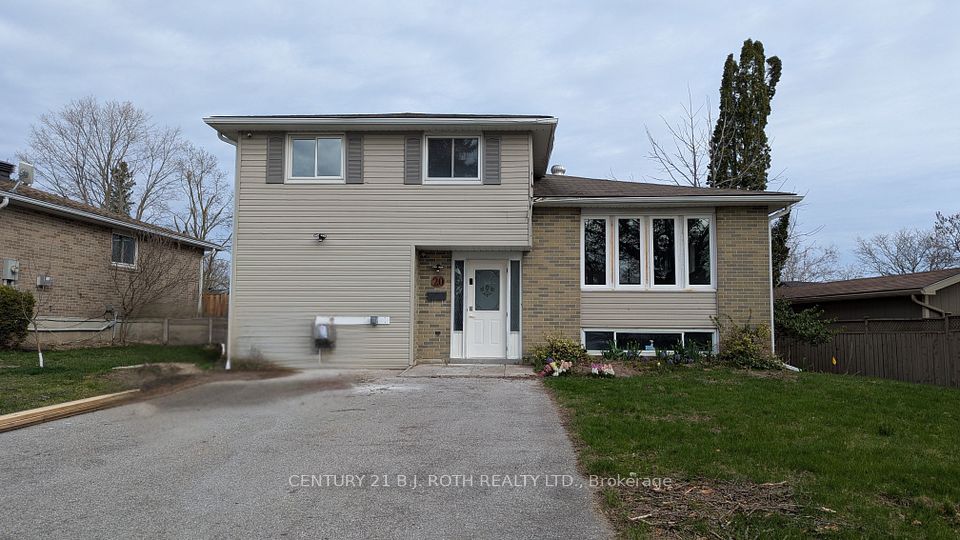 20 Meadowland